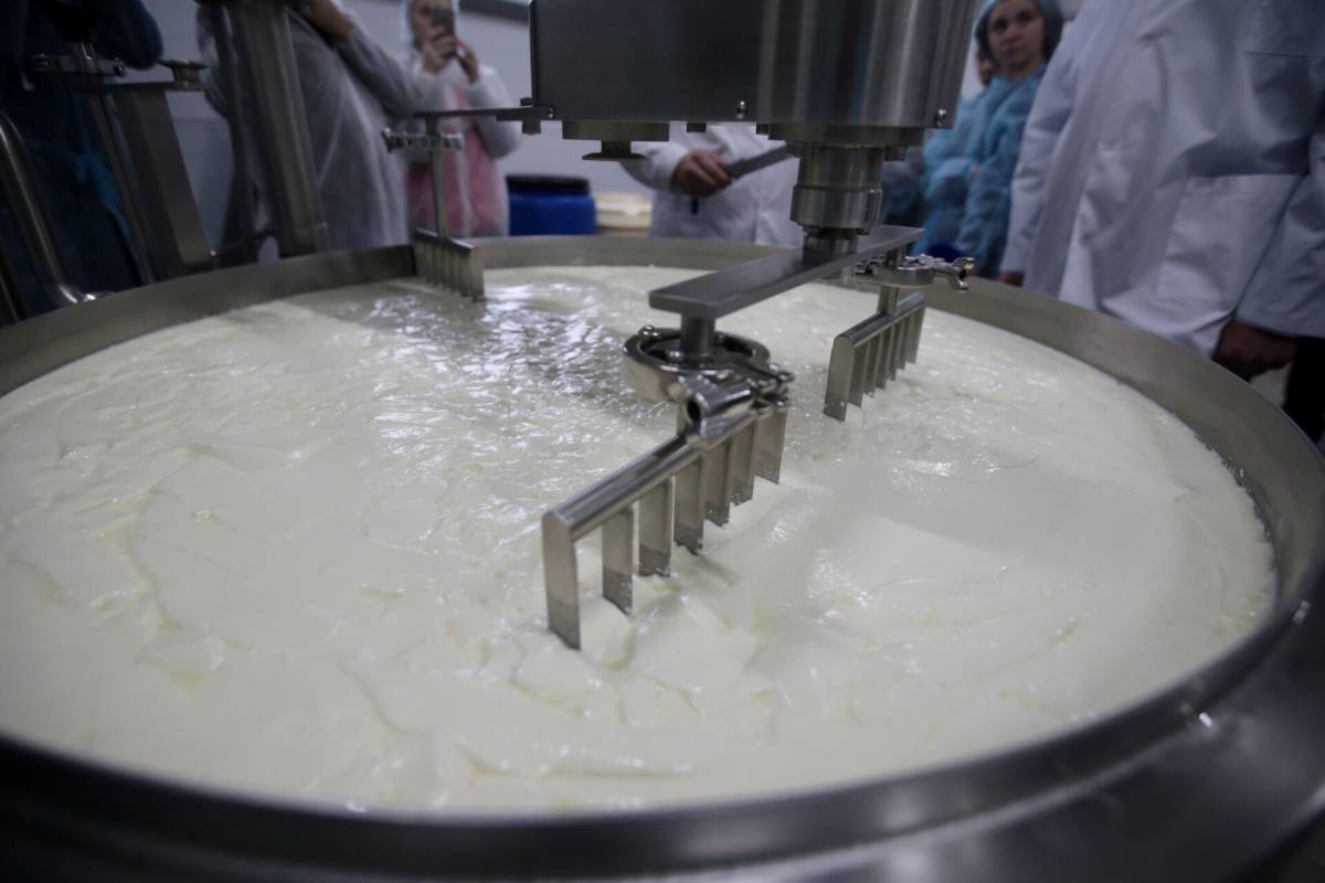 Вологодская область ставит новые рекорды по производству молока-сырья.