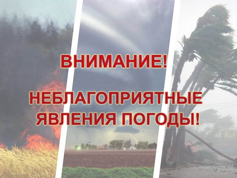 С 12 августа 2026 года отмечено опасное агрометеорологическое явление – переувлажнение почвы.