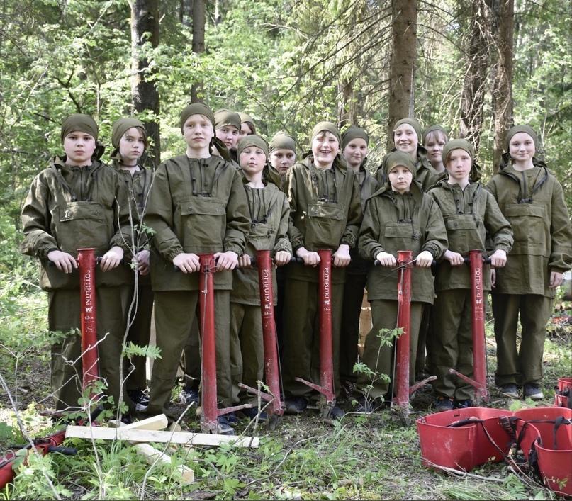 Лесные волонтеры Грязовецкого округа могут принять участие в новом конкурсе ⁣.