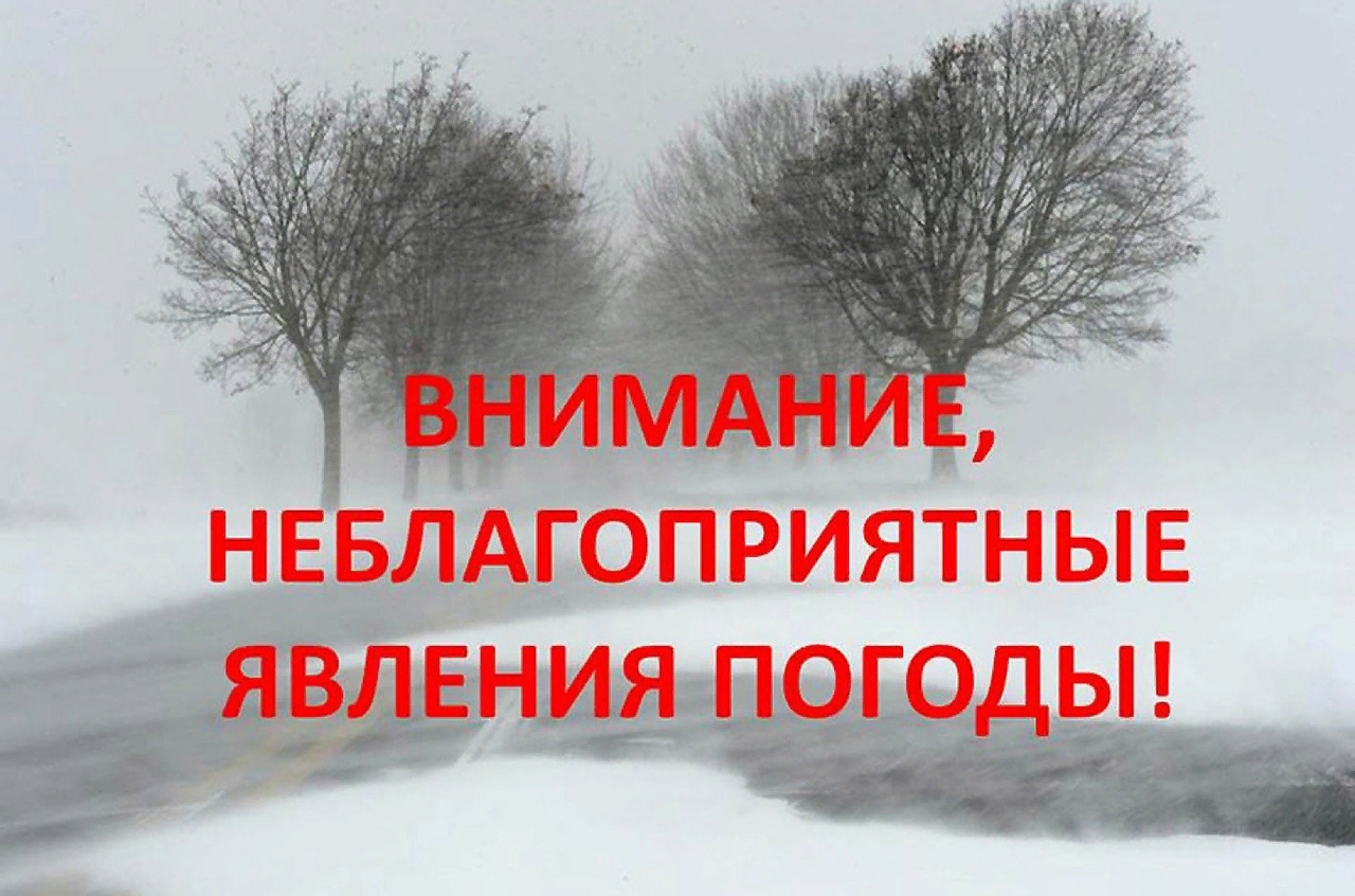 В период с 5  по 8 января 2024 года в большинстве районов и округов Вологодской области сохранится аномально холодная погода.