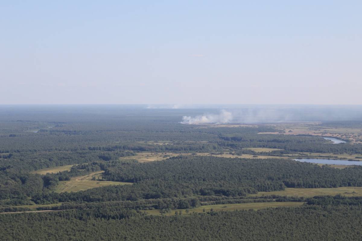 Лесопожарная обстановка на территории Вологодской области остается стабильной.