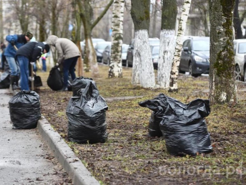 Субботник близко: посмотрите в домовой чат.